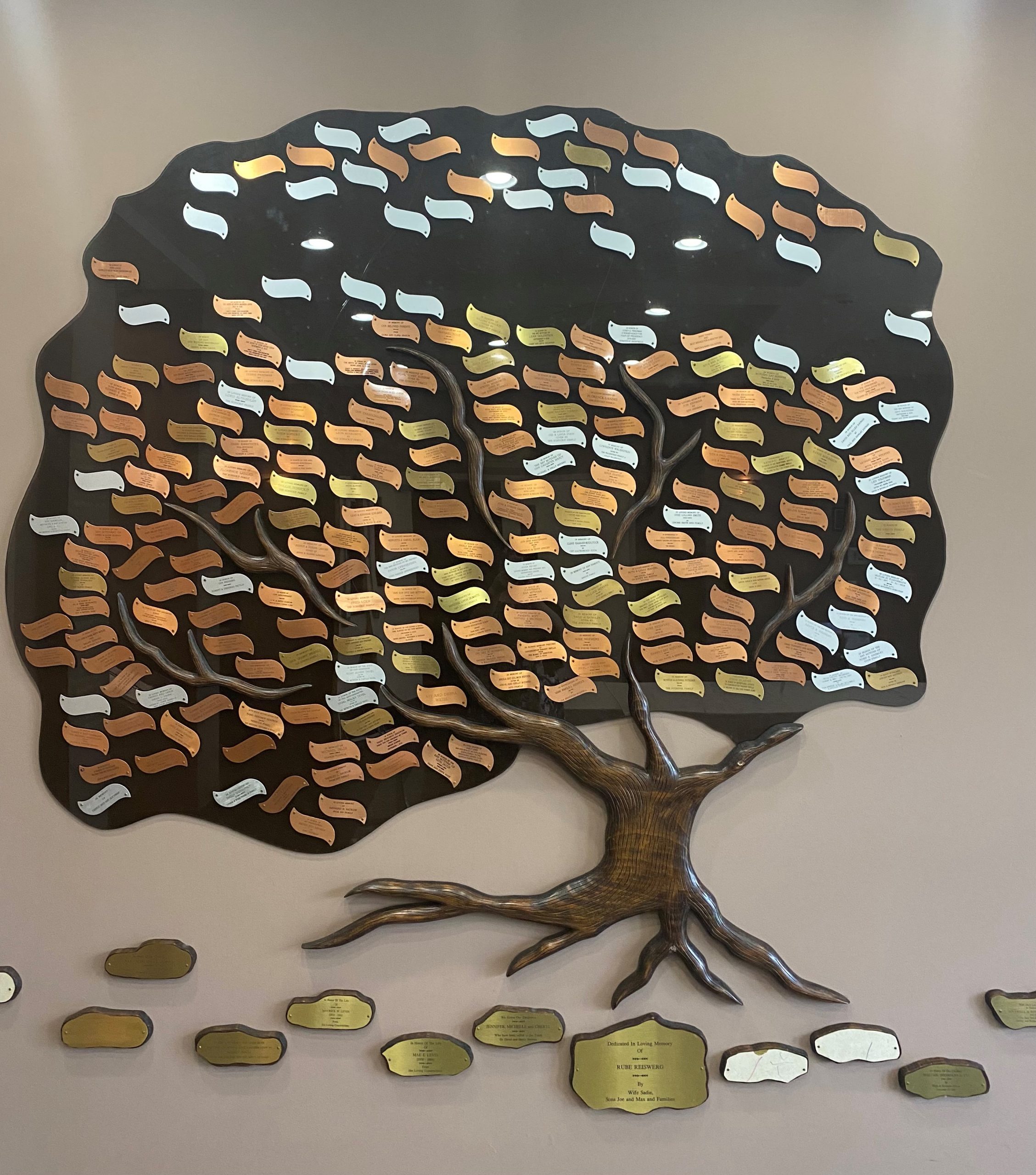 CST Tree of Life